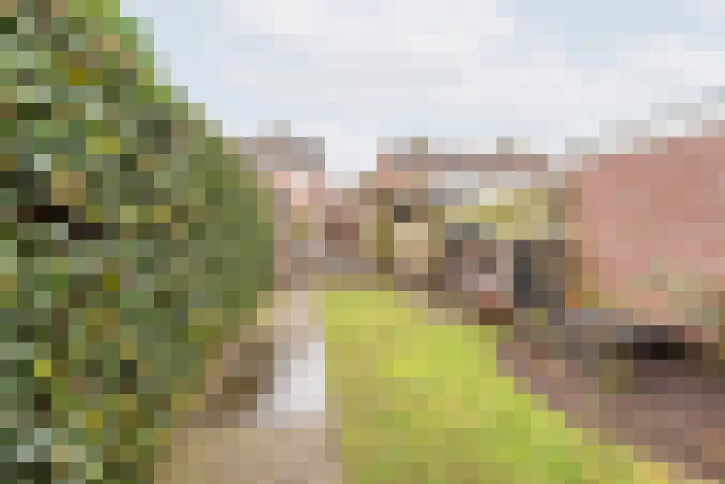 Welinkweg 26 Dinxperlo thumbnail 38