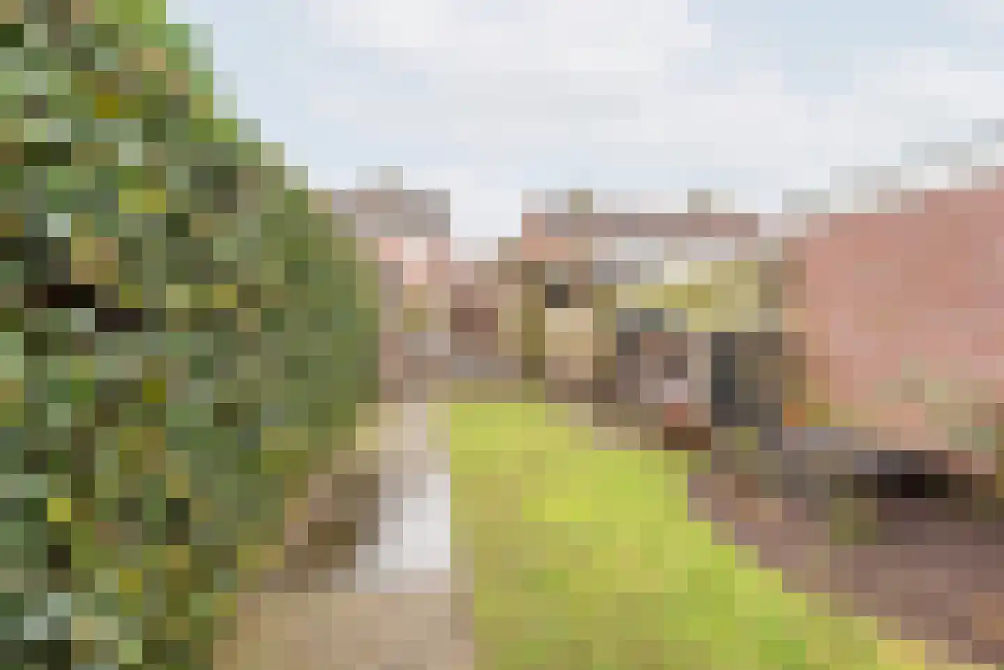 Welinkweg 26 Dinxperlo thumbnail 4