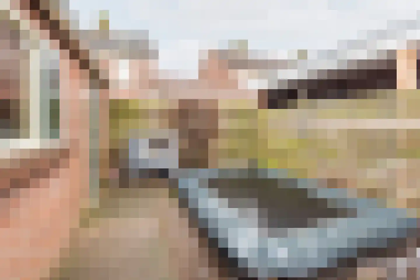 Welinkweg 26 Dinxperlo thumbnail 40