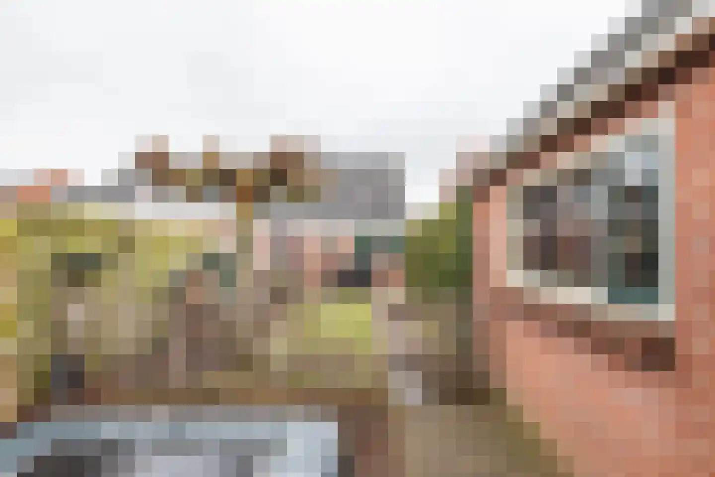 Welinkweg 26 Dinxperlo thumbnail 41