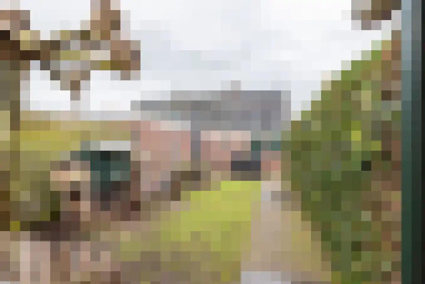 Welinkweg 26 Dinxperlo thumbnail 42