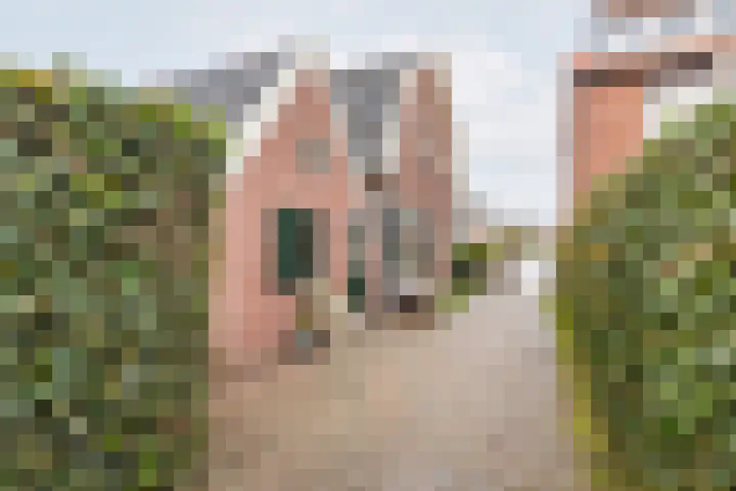 Welinkweg 26 Dinxperlo thumbnail 43