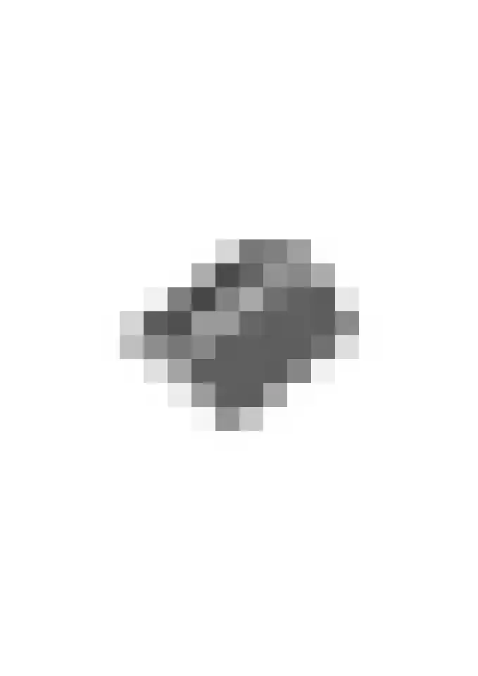 Welinkweg 26 Dinxperlo thumbnail 58
