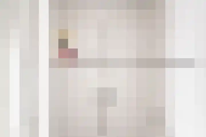 Welinkweg 39 Dinxperlo thumbnail 26