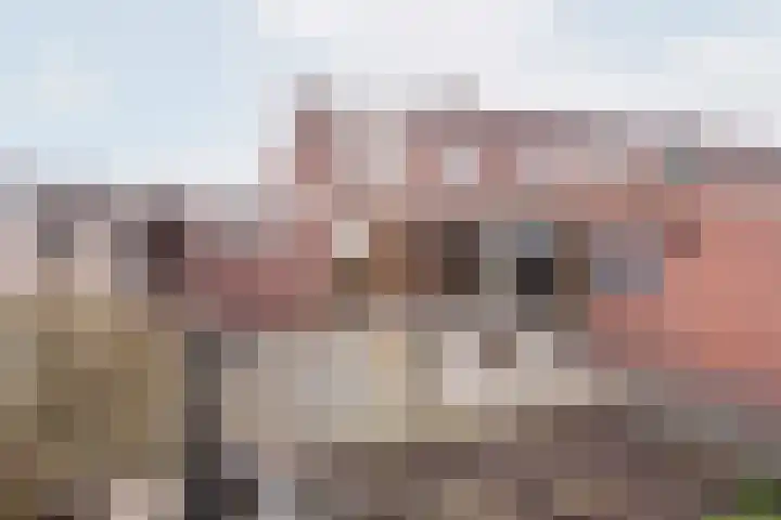 Welinkweg 39 Dinxperlo thumbnail 4