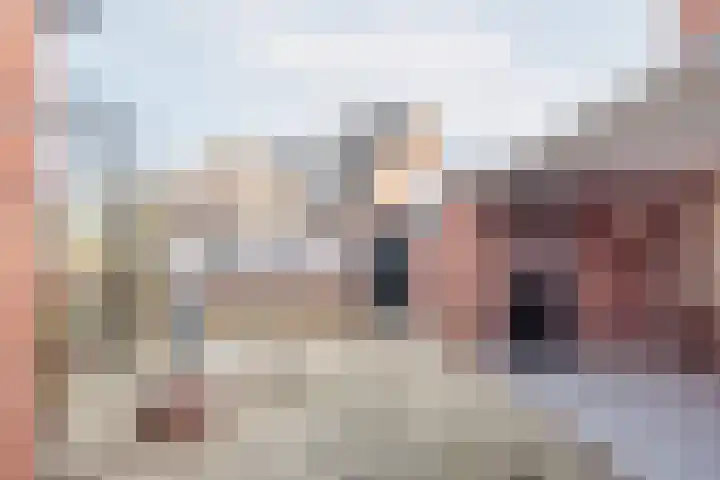 Welinkweg 39 Dinxperlo thumbnail 40
