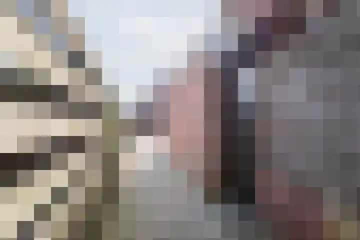 Welinkweg 39 Dinxperlo thumbnail 41