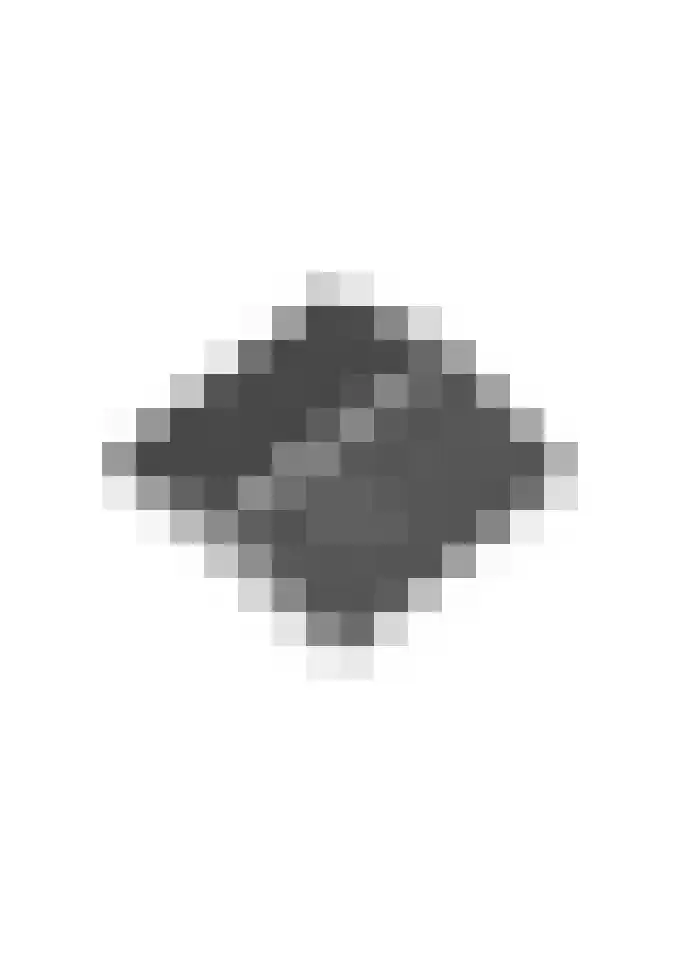Welinkweg 39 Dinxperlo thumbnail 54