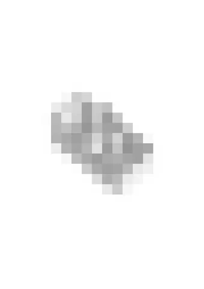 Welinkweg 39 Dinxperlo thumbnail 55