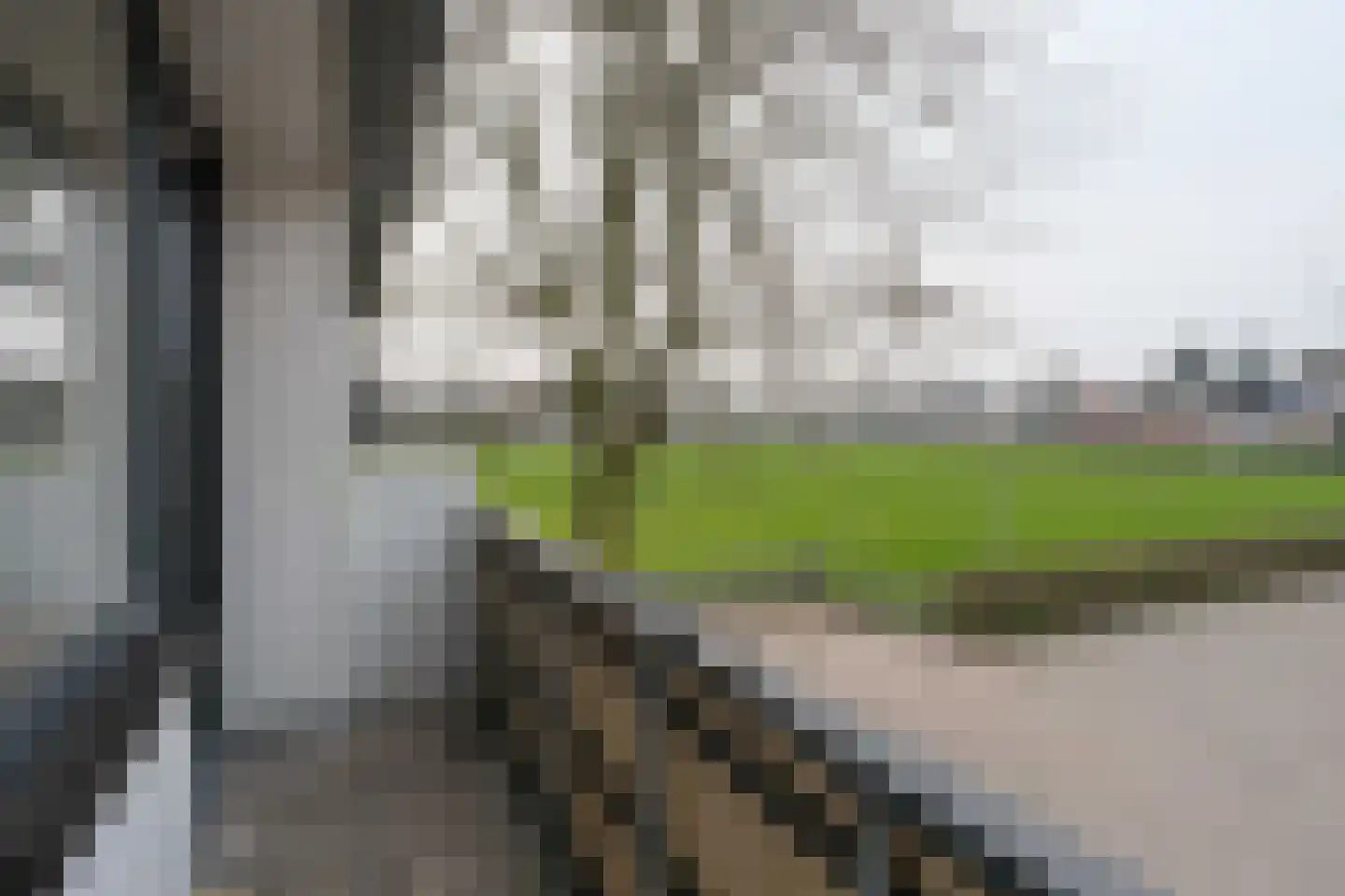 Well 6 Almelo thumbnail 20