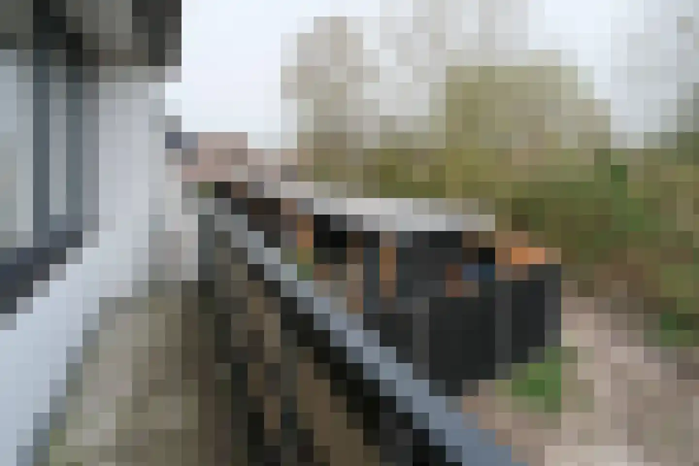 Well 6 Almelo thumbnail 24