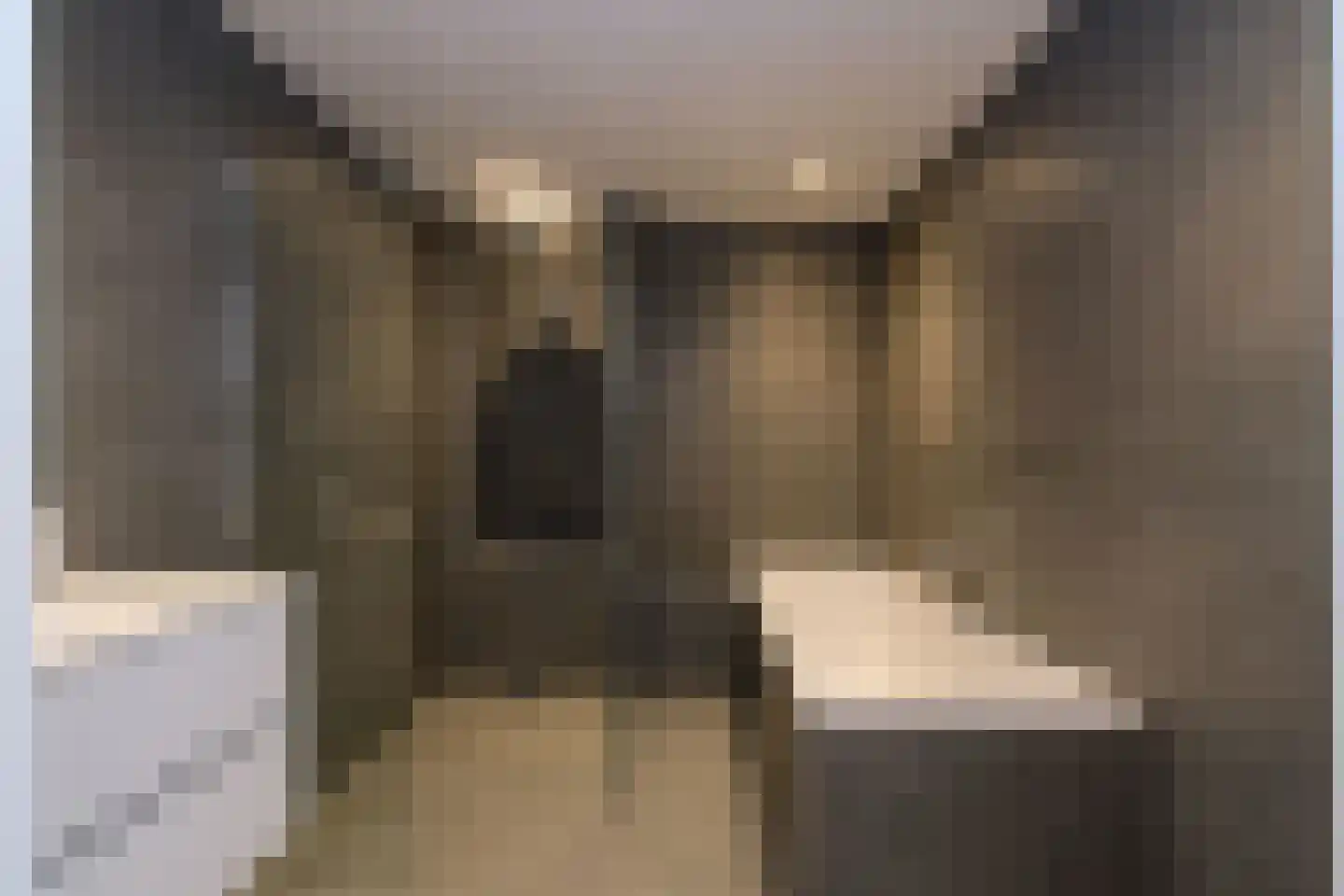 Well 6 Almelo thumbnail 26