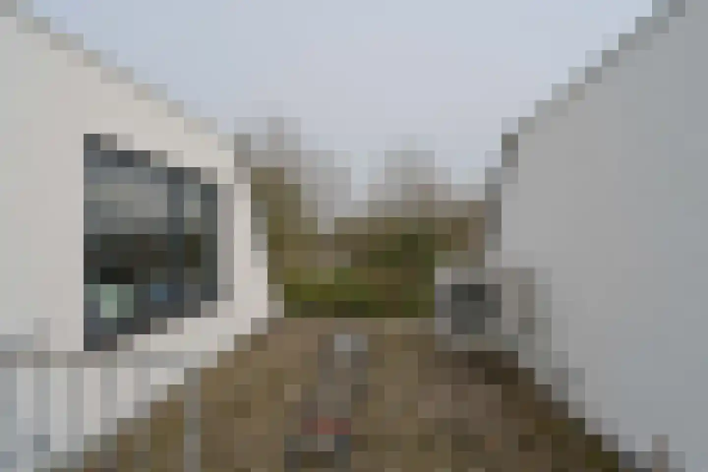 Well 6 Almelo thumbnail 33