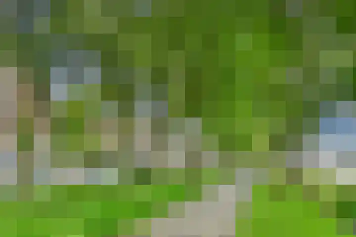 Well 9 Almelo thumbnail 22