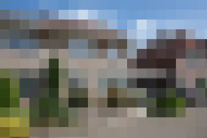Well 9 Almelo thumbnail 4