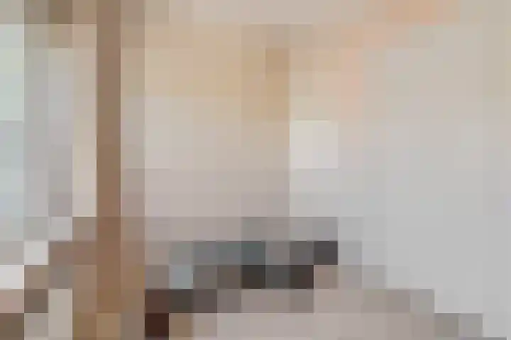 Well 9 Almelo thumbnail 42