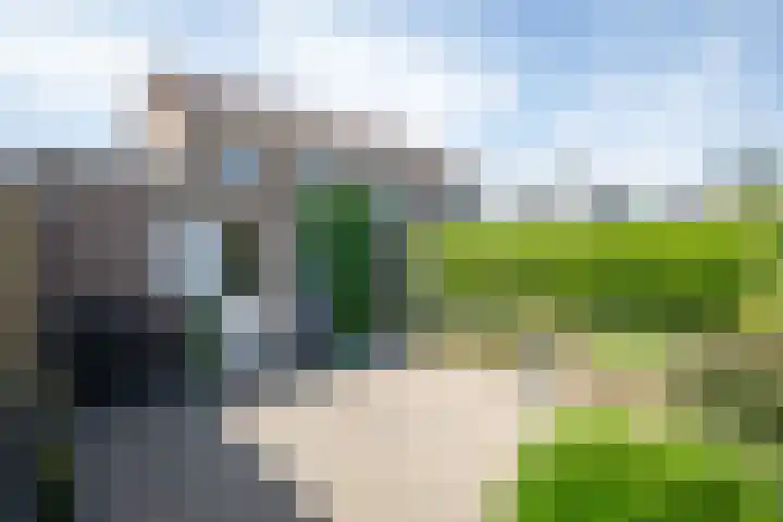 Well 9 Almelo thumbnail 44