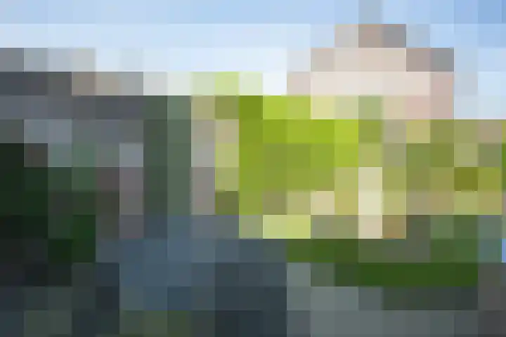 Well 9 Almelo thumbnail 45