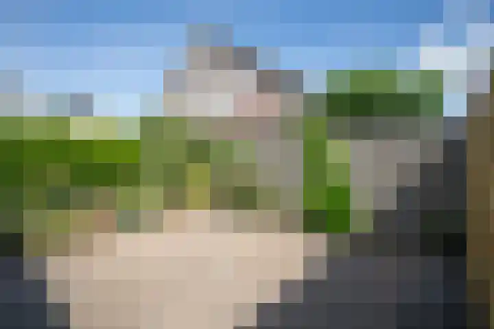 Well 9 Almelo thumbnail 48