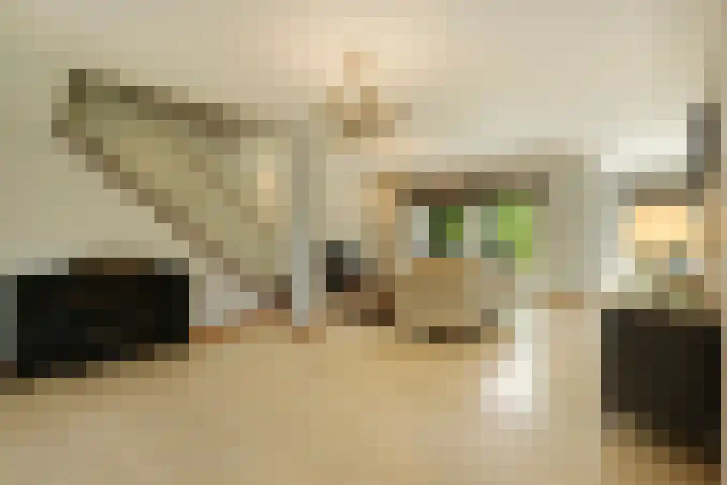 Welle 11 Veldhoven thumbnail 10