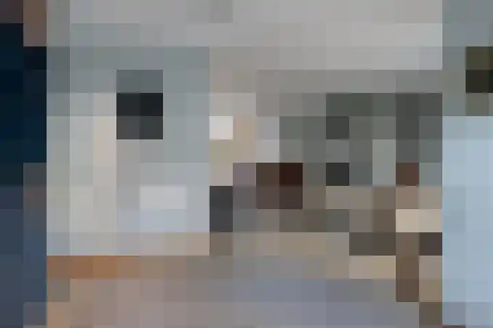 Welle 11 Veldhoven thumbnail 11