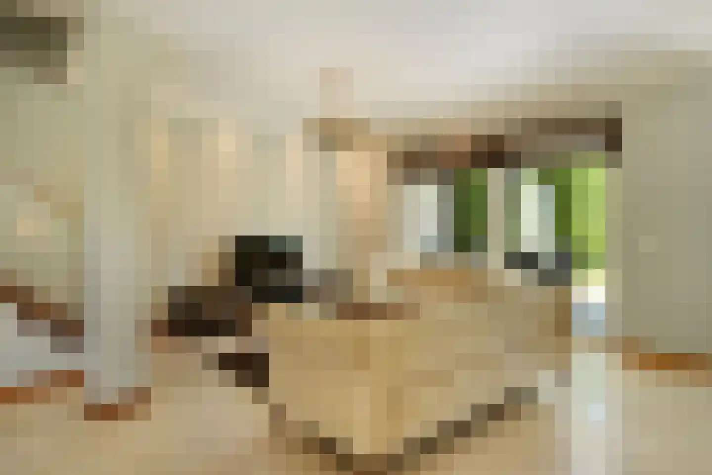 Welle 11 Veldhoven thumbnail 11