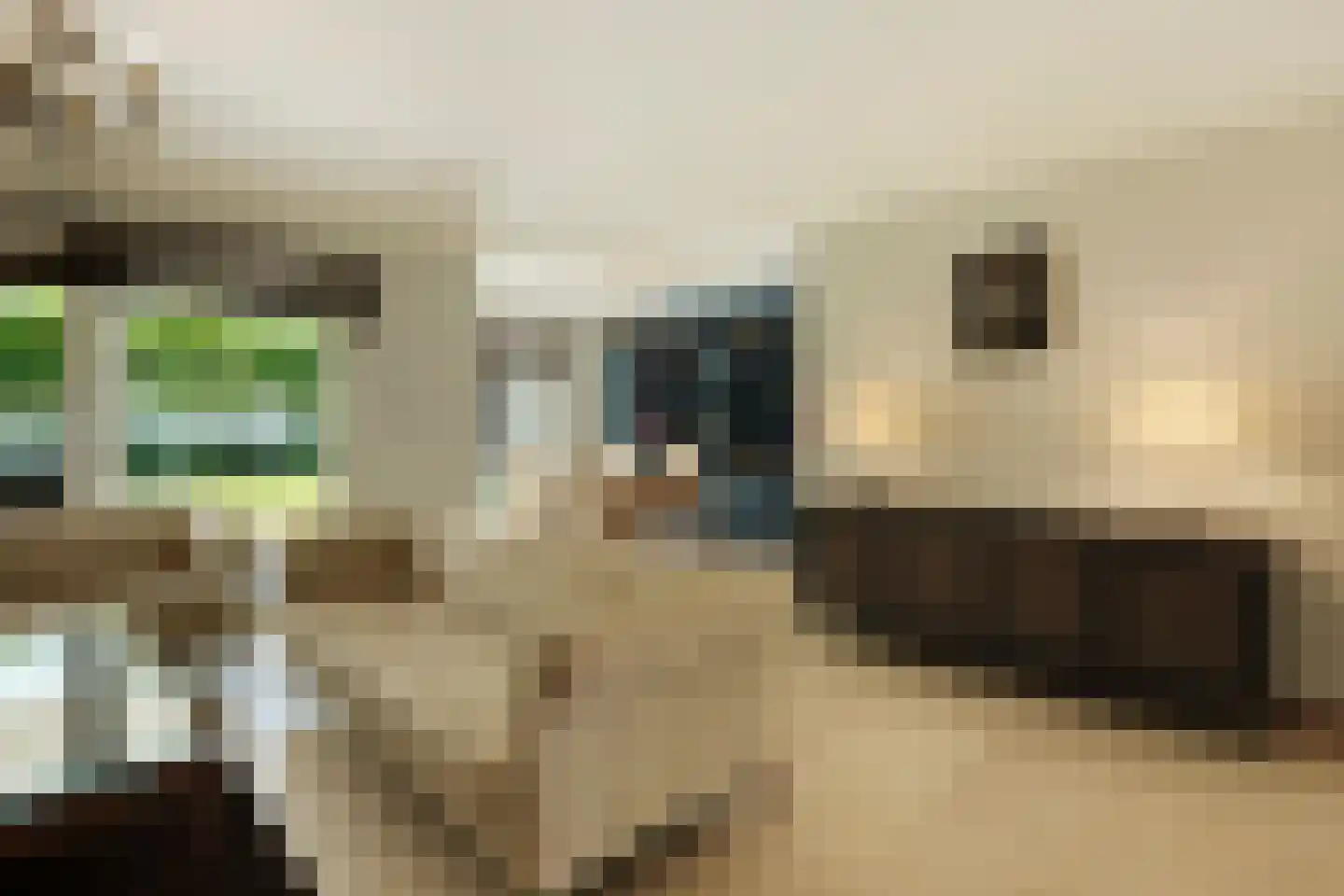 Welle 11 Veldhoven thumbnail 13