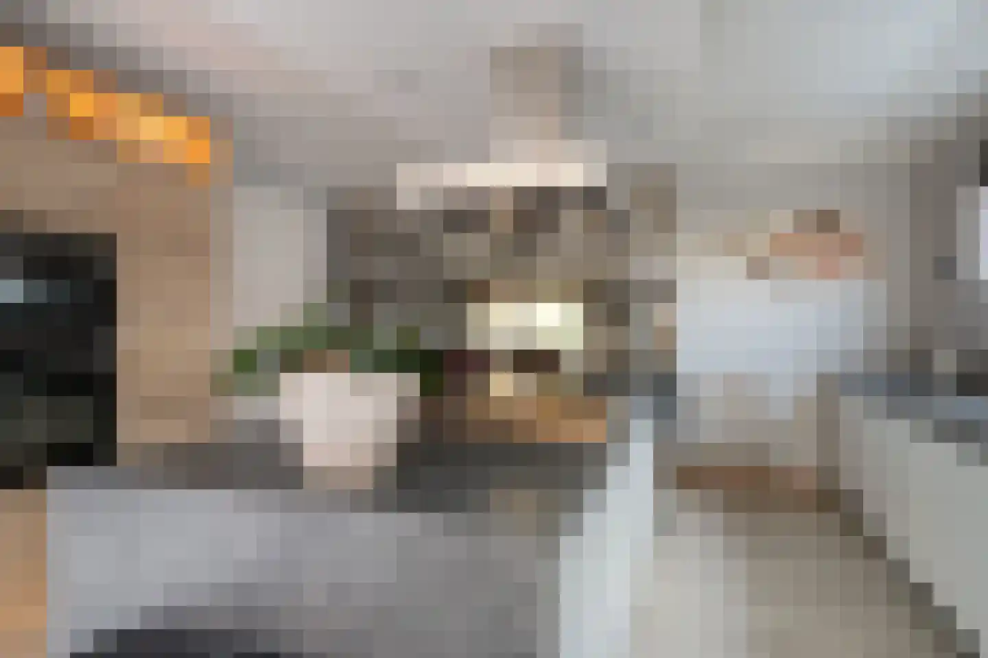 Welle 11 Veldhoven thumbnail 17
