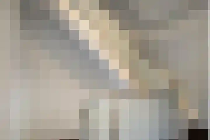 Welle 11 Veldhoven thumbnail 17