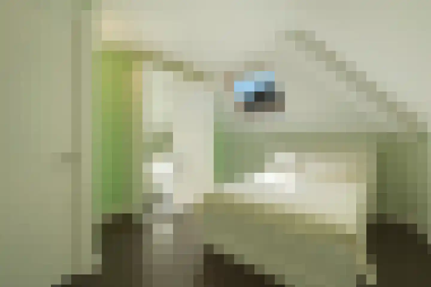 Welle 11 Veldhoven thumbnail 31