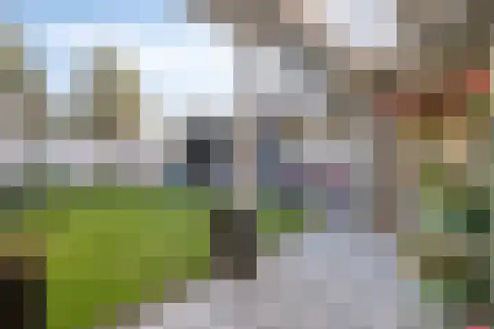 Welle 11 Veldhoven thumbnail 31