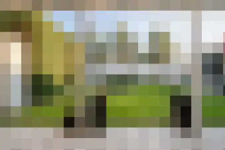 Welle 11 Veldhoven thumbnail 32