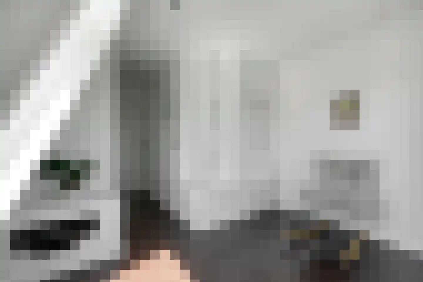 Welle 11 Veldhoven thumbnail 33