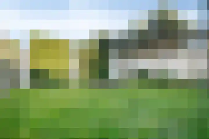 Welle 11 Veldhoven thumbnail 35