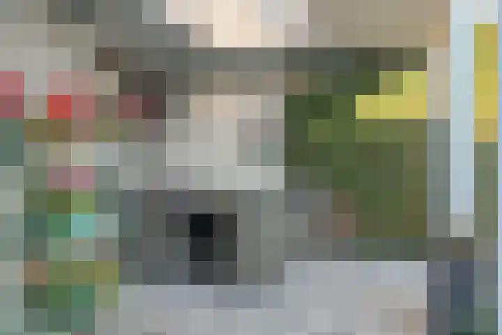 Welle 11 Veldhoven thumbnail 36