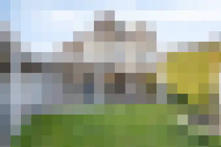 Welle 11 Veldhoven thumbnail 37