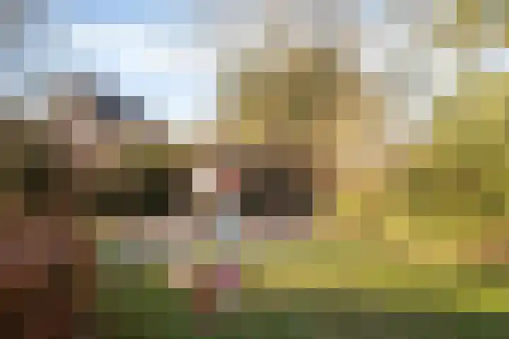 Welle 11 Veldhoven thumbnail 41