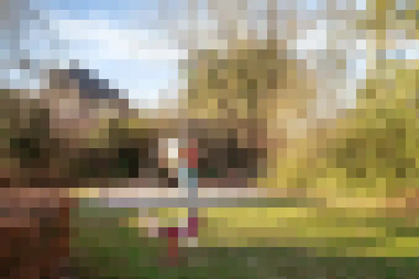 Welle 11 Veldhoven thumbnail 42