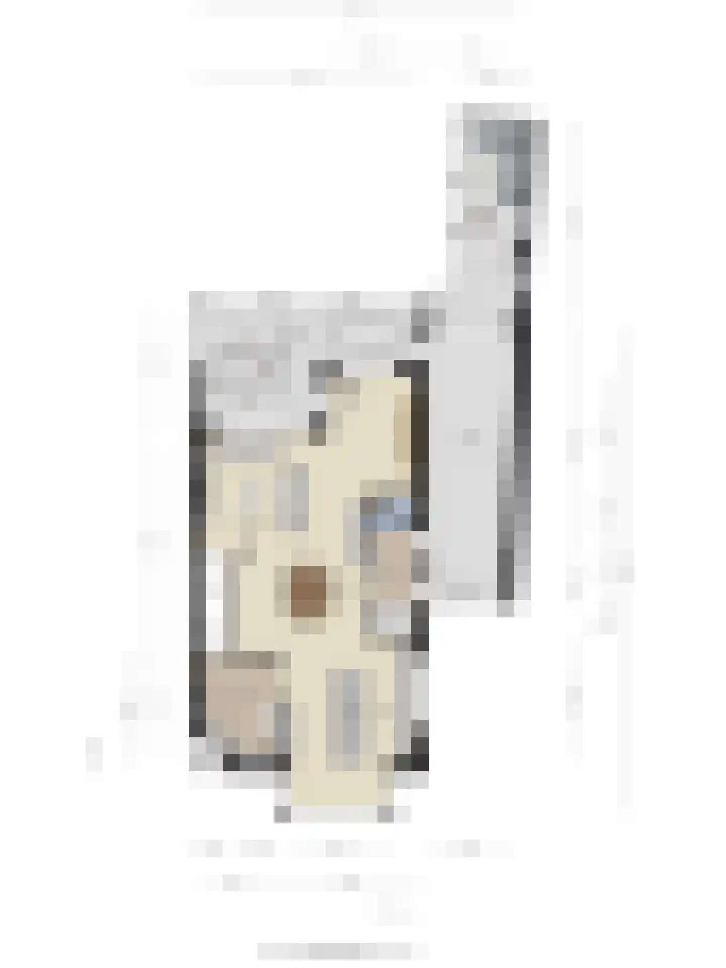 Welle 11 Veldhoven thumbnail 43