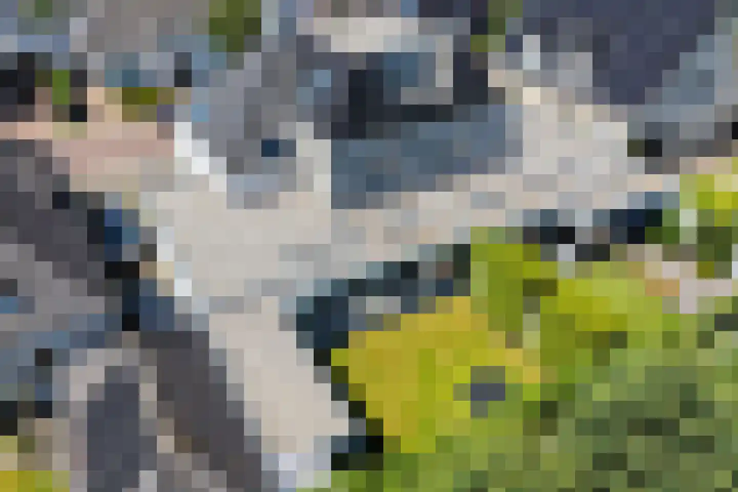 Welle 11 Veldhoven thumbnail 47