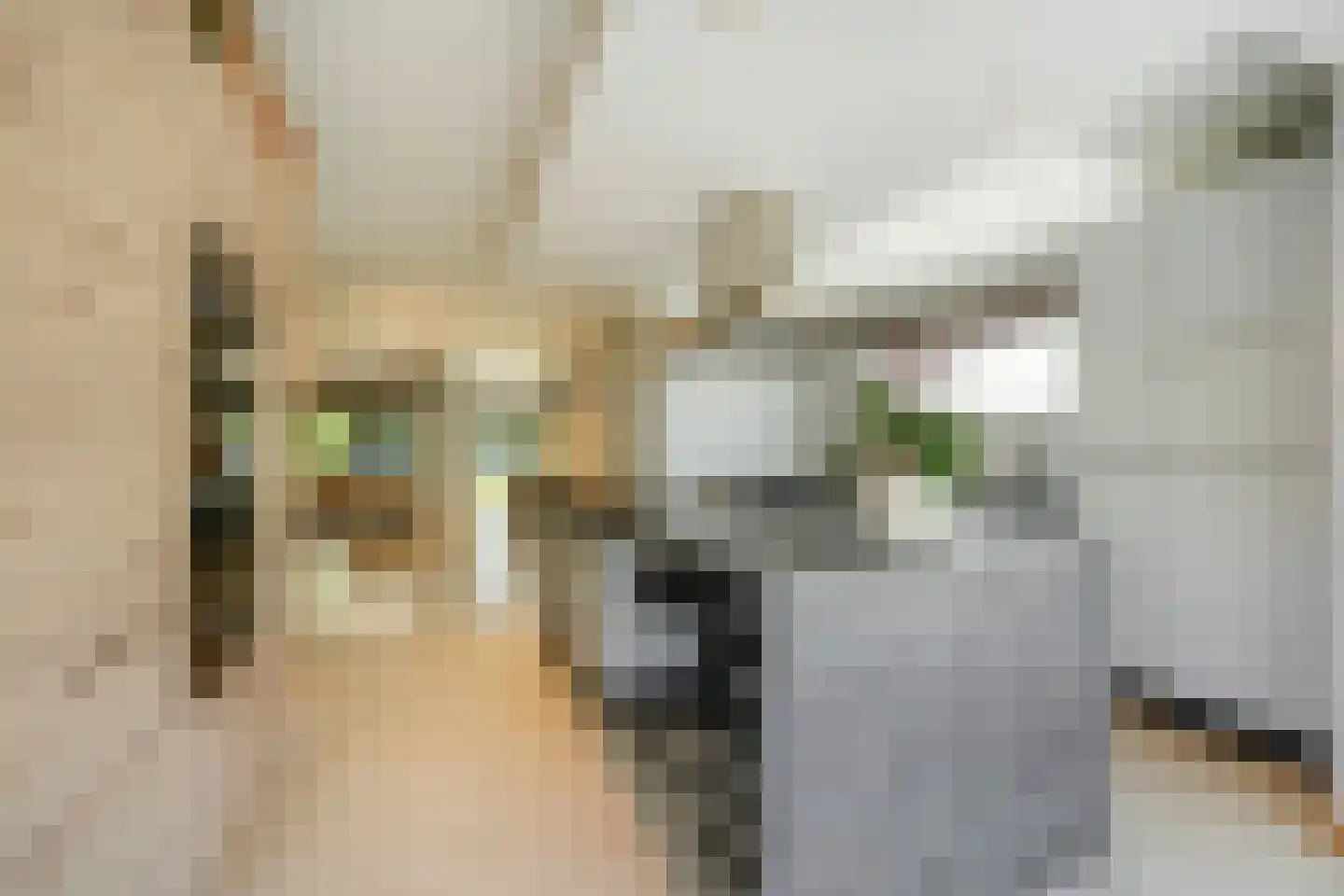 Welle 11 Veldhoven thumbnail 6