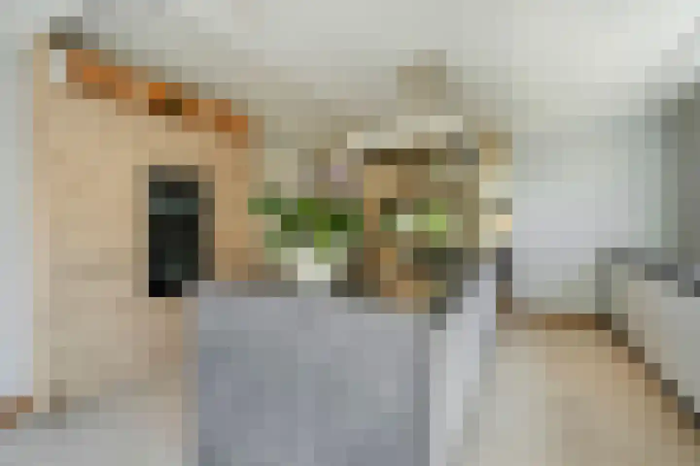 Welle 11 Veldhoven thumbnail 7