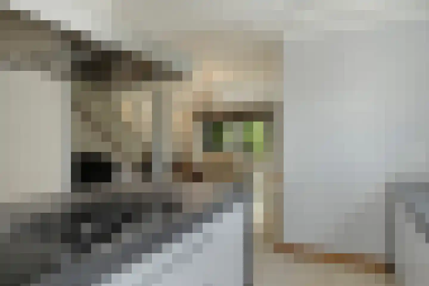 Welle 11 Veldhoven thumbnail 8