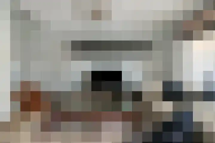 Welle 11 Veldhoven thumbnail 8