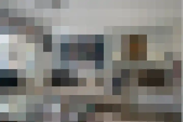 Welle 11 Veldhoven thumbnail 9