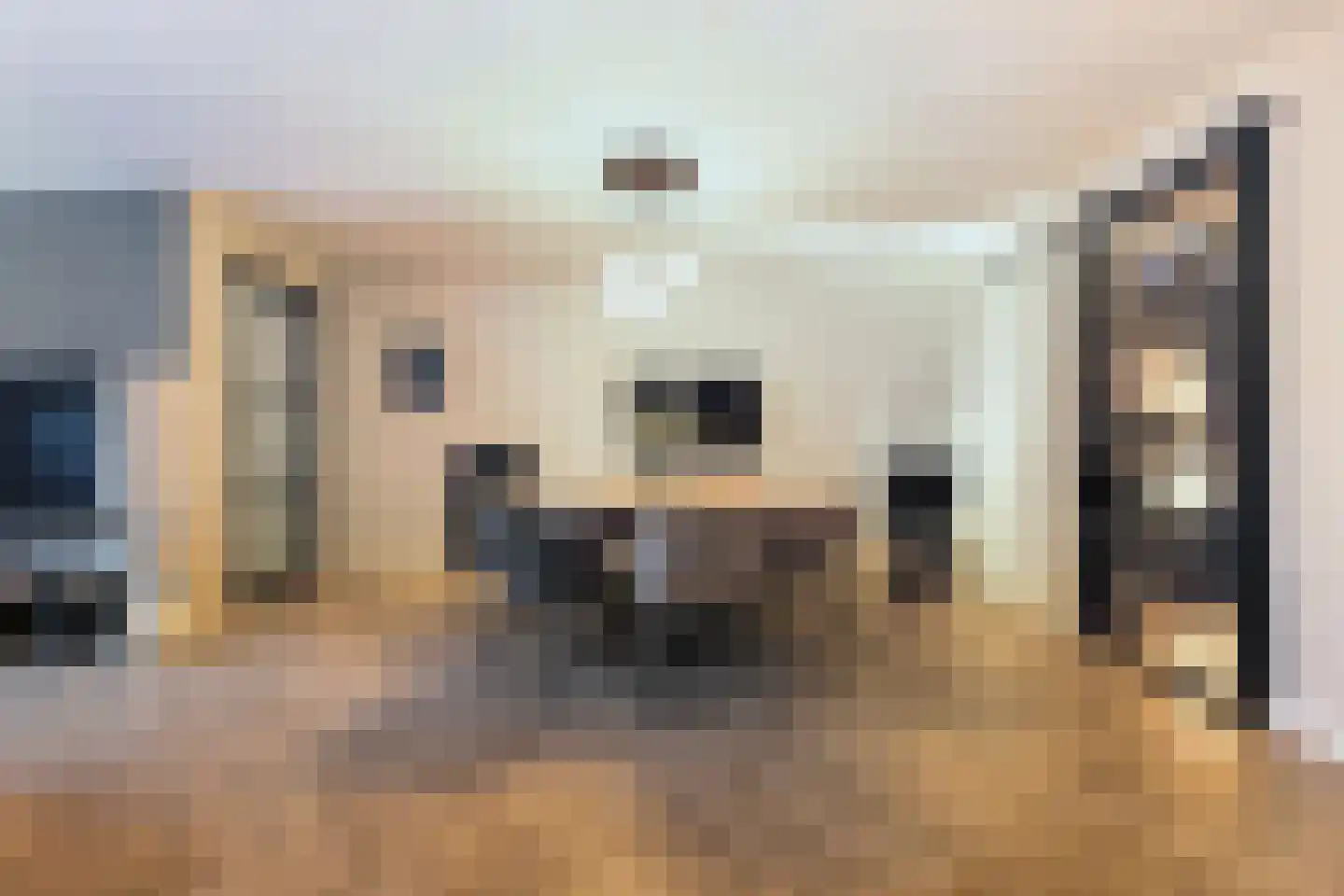 Welle 14 Veldhoven thumbnail 16