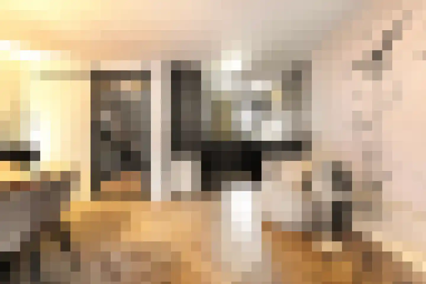 Welle 14 Veldhoven thumbnail 17