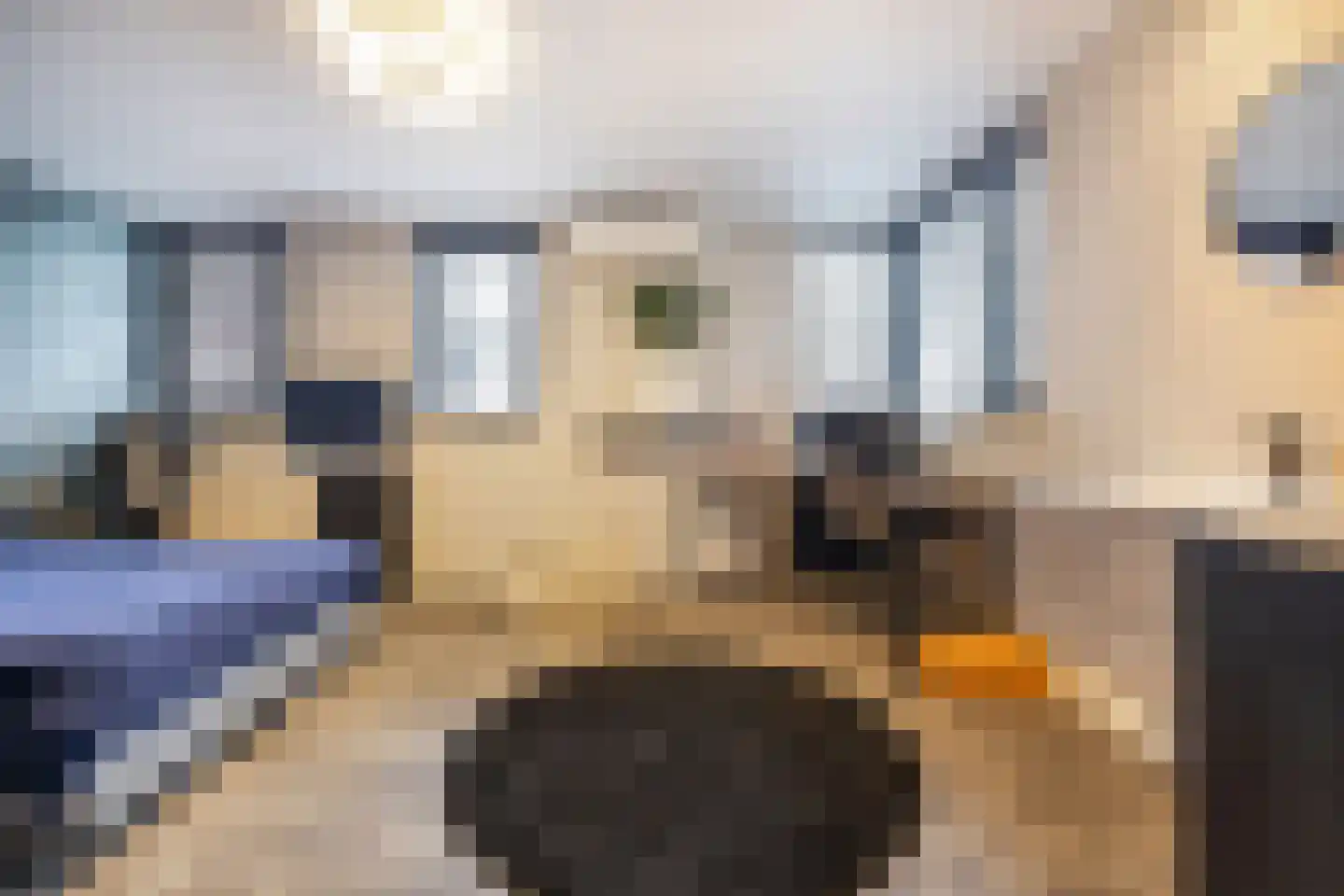 Welle 14 Veldhoven thumbnail 29