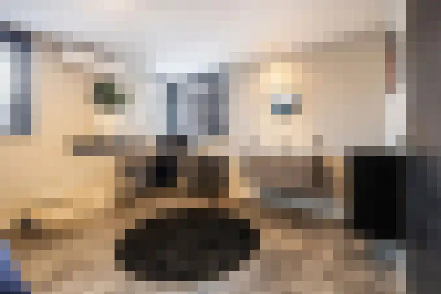 Welle 14 Veldhoven thumbnail 31