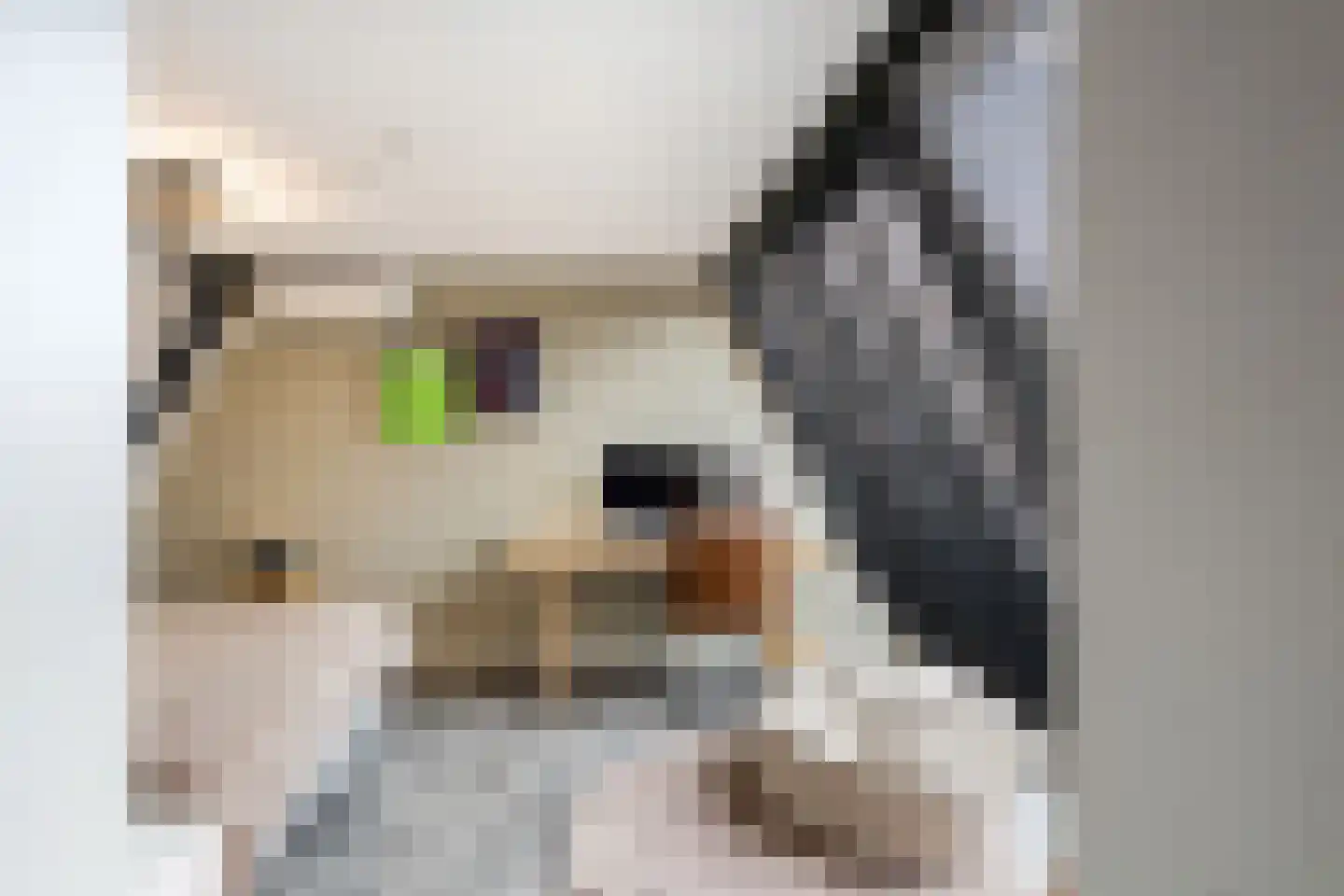 Welle 14 Veldhoven thumbnail 32